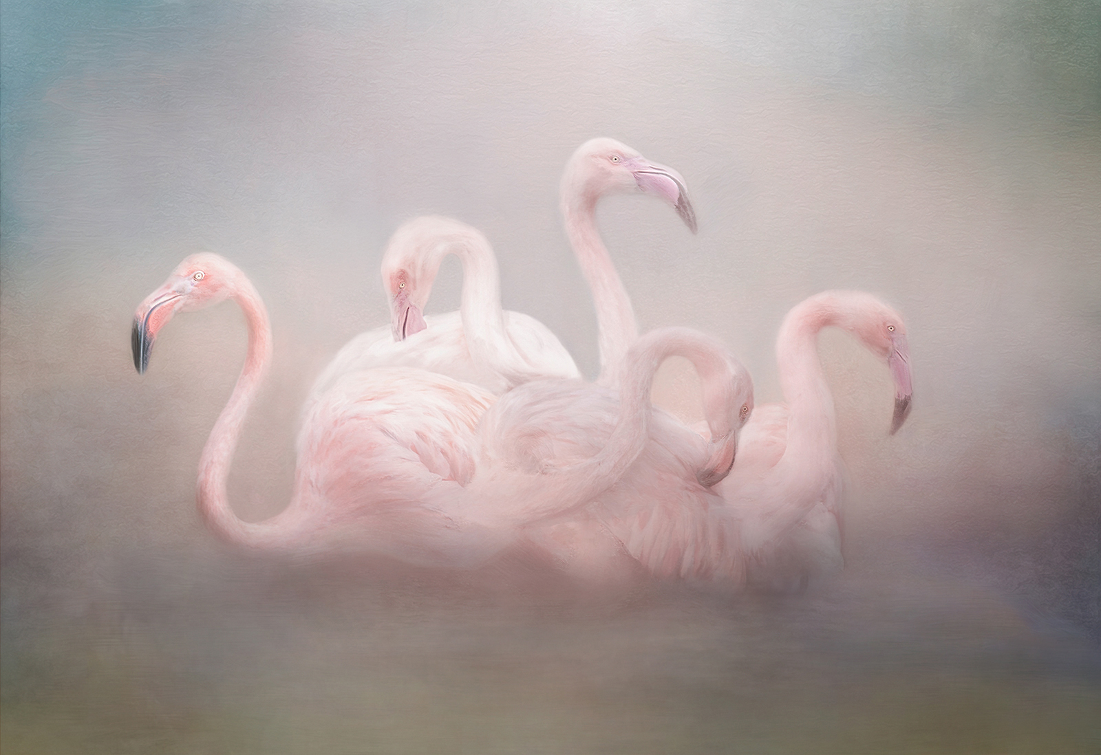 Flamboyance of Flamingoes - Lynda Haney - BPE Ribbon