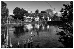 Farzad-ReshadReflections-of-a-Life19-PDI-Landscape