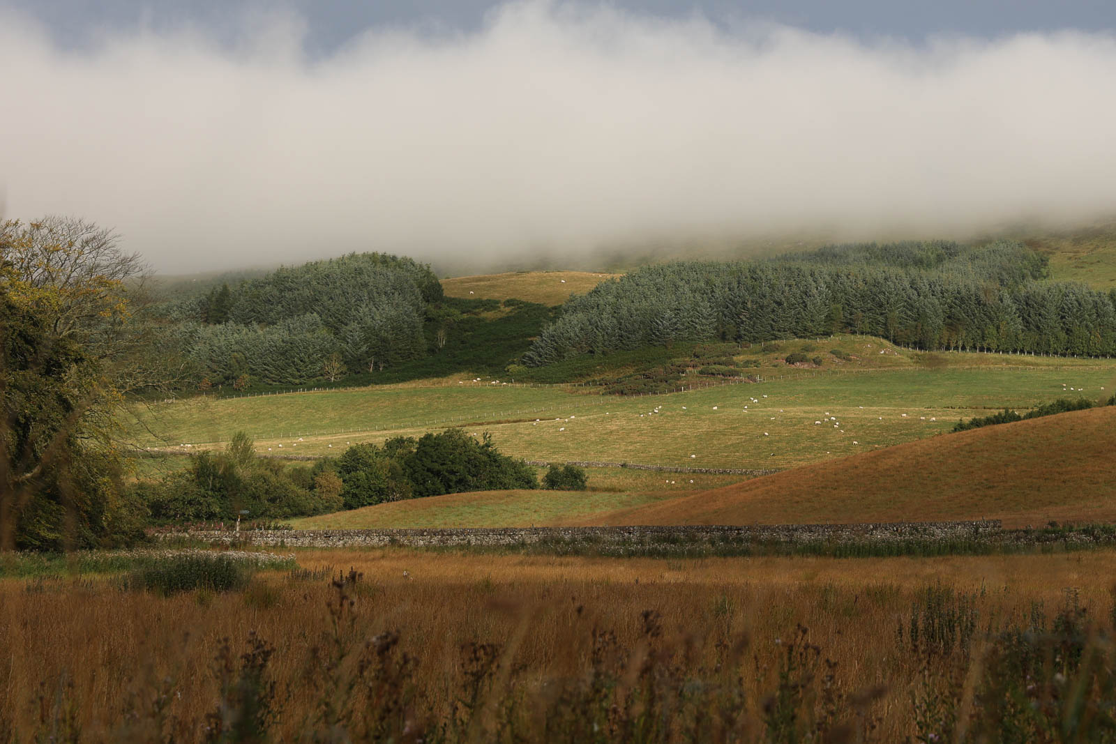 Nasar-HussainLow-Cloud-over-East-Kip17-PDI-PDI-Landscape