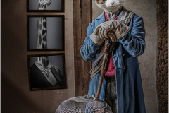 Gurjeet-SeeraPDI-Creative18